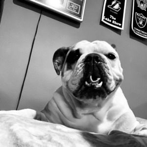 Meet your Posher, Bryan